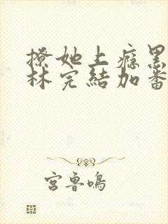 撩她上瘾黑暗森林完结加番外