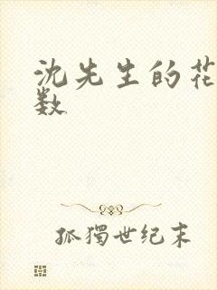 沈先生的花式调数