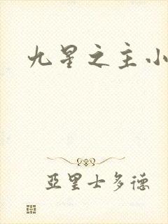 九星之主小说