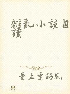 杂乱小说目录阅读