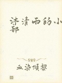 沐清雨的小说全部