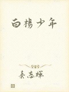 白杨少年封面