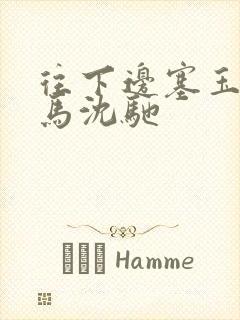 往下边塞玉器骑马沈驰封面