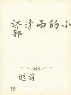 沐清雨的小说全部封面
