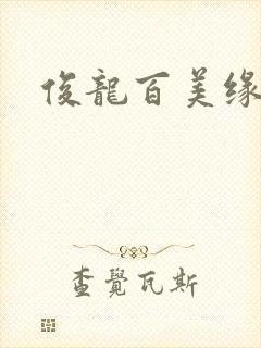 俊龙百美缘小说