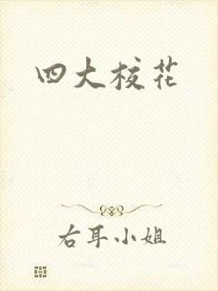 四大校花封面