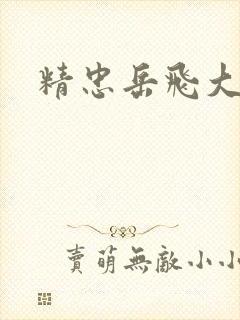 精忠岳飞大结局封面