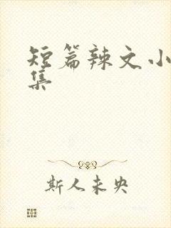 短篇辣文小说合集