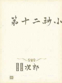 第十二秒小说