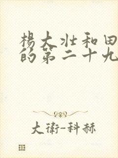 杨大壮和田桂花的第二十九封面