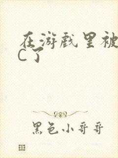 在游戏里被怪物C了