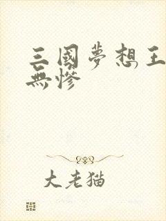 三国梦想王元姬无惨