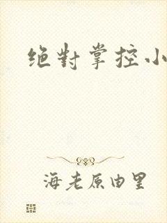 绝对掌控小说