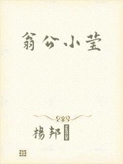 翁公小莹封面