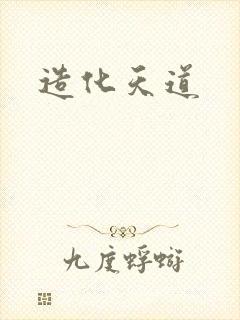 造化天道封面