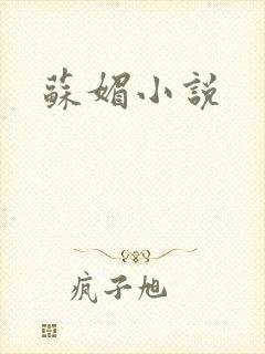 苏媚小说