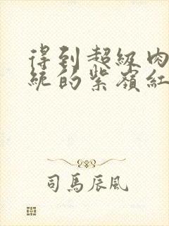 得到超级肉禽系统的紫岭红山