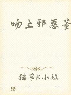 吻上邪恶董事长封面