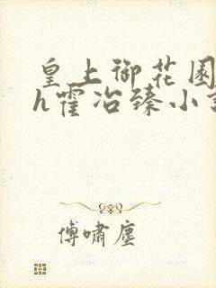 皇上御花园hlh霍冶臻小说封面