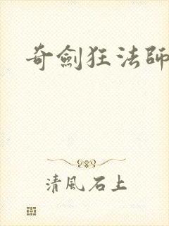 奇剑狂法师封面