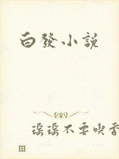 白发小说