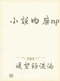 小说肉糜np