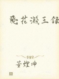 飞花溅玉录