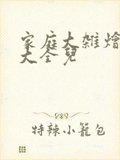 家庭大杂烩小说大全儿