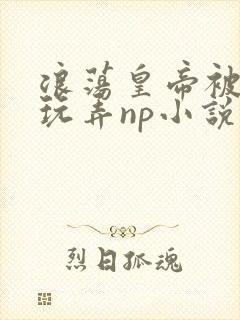 浪荡皇帝被多人玩弄np小说