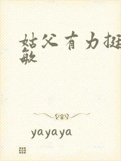 姑父有力挺送赵敏