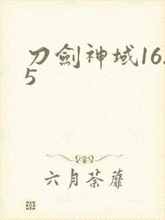 刀剑神域16.5封面