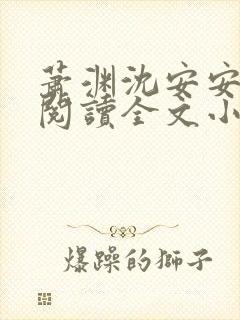 萧渊沈安安免费阅读全文小说封面