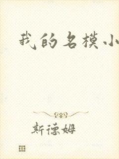 我的名模小娇妻