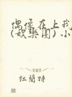 偶像在上我在下(娱乐圈) 小说免费阅读封面