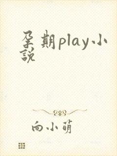孕期play小说封面