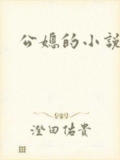 公媳的小说