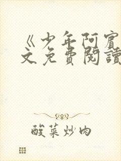 《少年阿宾》全文免费阅读