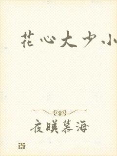 花心大少小说