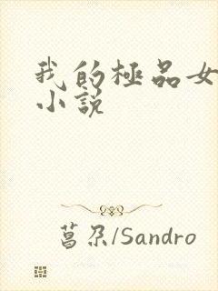 我的极品女老师小说