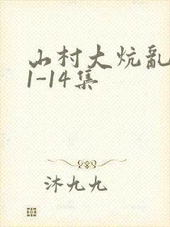 山村大炕乱肉续1-14集封面