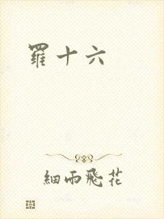 罗十六