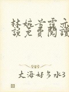 林婉兮霍亦铭小说免费阅读封面