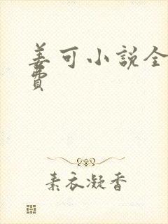 姜可小说全文免费封面