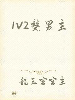 1V2双男主