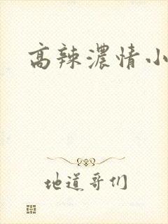 高辣浓情小说