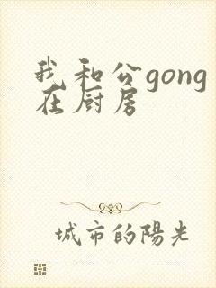 我和公gong在厨房
