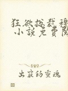 狂欲总裁穆非雪 小说免费阅读