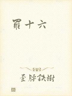罗十六