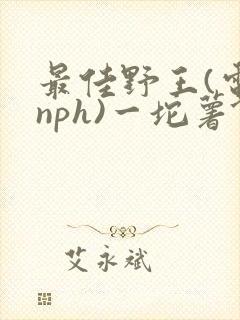 最佳野王(电竞nph)一坨薯饼封面