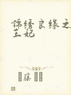 锦绣良缘之北地王妃封面